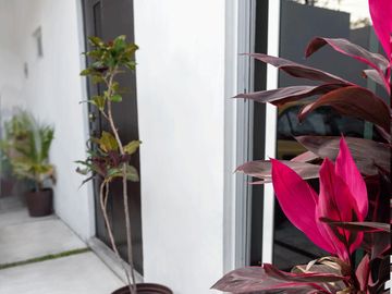 VENTA DE CASA SOLA EN FRACC, BRISAS DE CUAUTLA, MOR
