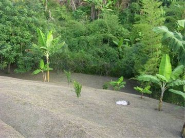 Casa Campestre - Via Armenia - Tebaida