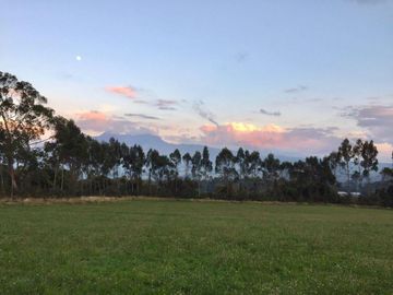 Con La Tranquilidad de Vivir en Comunidad: 2.8 Has Planas y con Arboles
