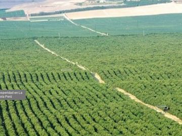 Terreno en Virú, 3,860 has La Libertad (LAL1121) MUY GRANDE