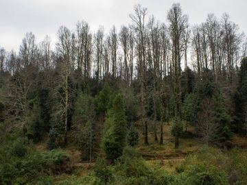 Espectacular Parcela de 15,5ha en Panguipulli, Casa en Condominio con vista al Lago Panguipulli y Volcán Villarrica