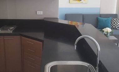 One Bedroom Deluxe For Lease in Venice Tower D