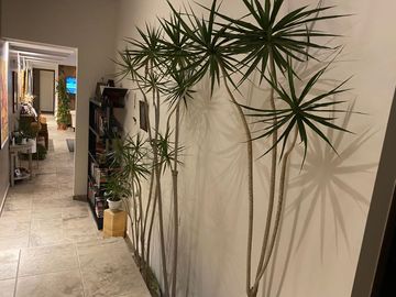 VENTA DE  CASA  EN QUINTAS ECUESTRE EN HARAS DEL BOSQUE