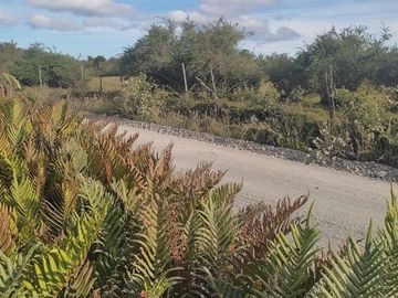 Vendo Parcela de 14.000 m2