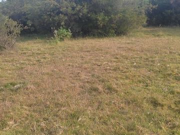 Vendo Parcela de 14.000 m2
