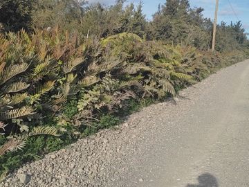 Vendo Parcela de 14.000 m2