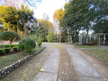 Casa a orilla del río Toltén a 18 kilómetros de Villarrica