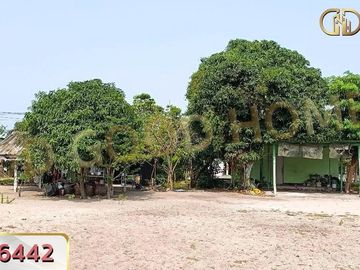 📢🌄 Empty land for sale, 244 square wah, filled, golden location, next to Mit Samphan Road Mueang Chonburi District