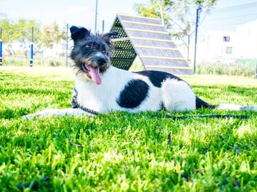 CASA EN VENTA A 15MIN DE CUERNAVACA CON ALBERCA Y CANCHA DE FUTBOL