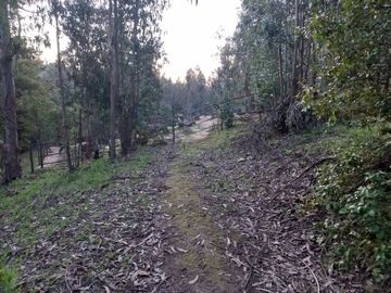 Quintero, parcelas de 2 hectáreas, semi planas y muy baratas