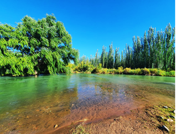 Increíble casa en el corazón de Mendoza, ideal turismo o vivienda - 4 ha y 480 m2 cubiertos