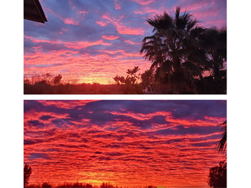 Increíble casa en el corazón de Mendoza, ideal turismo o vivienda - 4 ha y 480 m2 cubiertos