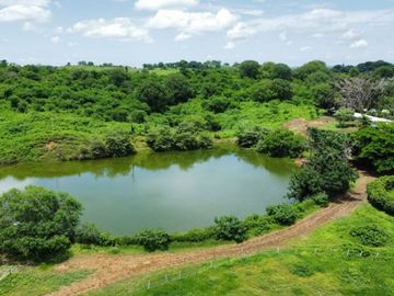 finca con caballeriza de venta guayas vía playas