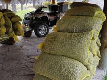 Huerta nogalera en el pueblo mágico Bustamante, N.L.