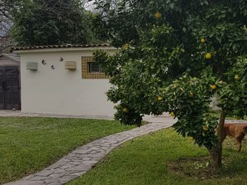 Huerta nogalera en el pueblo mágico Bustamante, N.L.