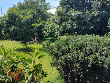 Enorme JARDIN, casa espectacular con bungalow en Chamilpa. Muy bien ubicada