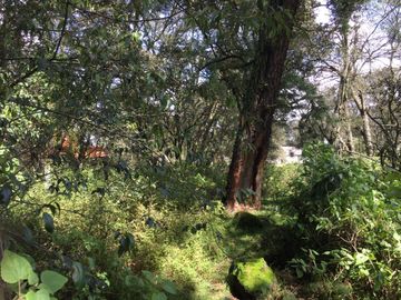 VENTA DE TERRENOS EN SINGUILICAN PROPIO PARA CASA DE CAMPO COMPLETAMENTE PLANO