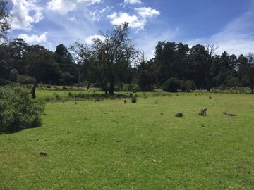 VENTA DE TERRENOS EN SINGUILICAN PROPIO PARA CASA DE CAMPO COMPLETAMENTE PLANO