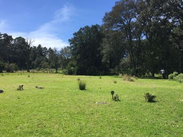 VENTA DE TERRENOS EN SINGUILICAN PROPIO PARA CASA DE CAMPO COMPLETAMENTE PLANO