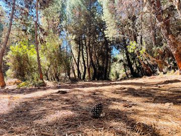PARCELA EN PARRAL, 5000M2, AGUA POTABLE INSTALADA Y LUZ EN EL PROYECTO