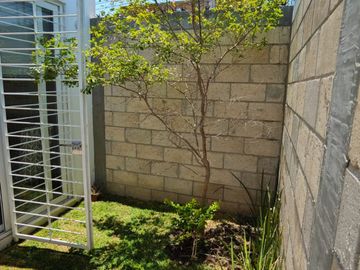 CASA EN FRACCIONAMIENTO LUCERO DEL VALLE ZAPOPAN