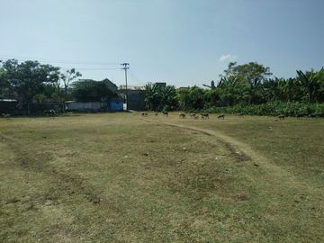 DIJUAL TANAH 14.396 METER2 ZONA KUNING AREA KOMERSIL STRATEGIS UNTUK BERBAGAI JENIS USAHA/BISNIS DAN BANGUNAN KOMERSIL DI LAMONGAN JATIM