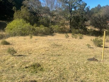TERRENO EN VENTA CERCA DE OMITLÁN