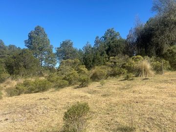 TERRENO EN VENTA CERCA DE OMITLÁN