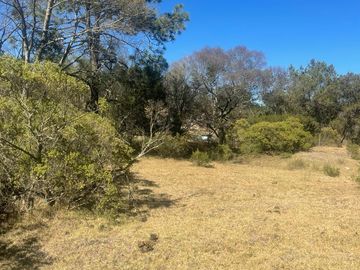 TERRENO EN VENTA CERCA DE OMITLÁN