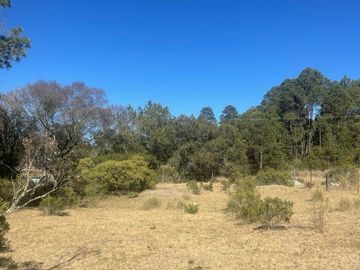 TERRENO EN VENTA CERCA DE OMITLÁN