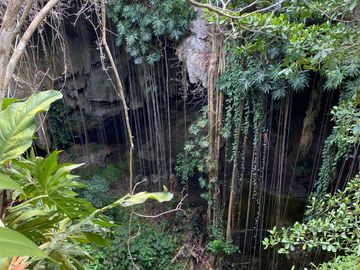 Increible Terreno/Lote para desarrollar con Cenotes en Valladolid, a unos minutos de Ek Balam y Parque Xibalba