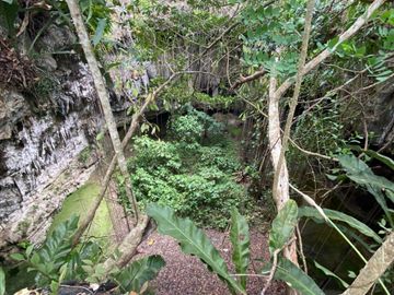 Increible Terreno/Lote para desarrollar con Cenotes en Valladolid, a unos minutos de Ek Balam y Parque Xibalba