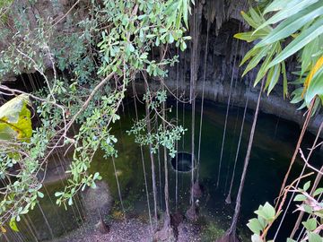 Increible Terreno/Lote para desarrollar con Cenotes en Valladolid, a unos minutos de Ek Balam y Parque Xibalba