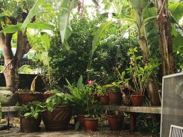 [For Sale] Under the Market Price! House, Sena Niwet 1, Lat Phrao