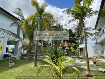Villa / House & Lot for Sale located in Bolod Panglao Island , Bohol