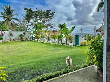 Resale Six Bedrooms Beach House with Pool Resort in Catmon