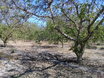 Hermosas Parcelas en Lonquen Norte San Ignacio Calera de Tango.