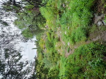 Oportunidad inversionistas, Desarrolladores.Posible financiacion