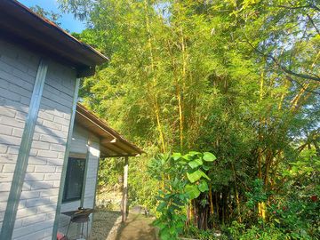 Finca Venta en Minca, 1 hectárea con Riachuelo, Sobre la Vía - Santa Marta