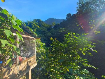 Finca Venta en Minca, 1 hectárea con Riachuelo, Sobre la Vía - Santa Marta