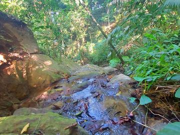 Finca Venta en Minca, 1 hectárea con Riachuelo, Sobre la Vía - Santa Marta