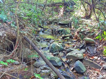 Finca Venta en Minca, 1 hectárea con Riachuelo, Sobre la Vía - Santa Marta