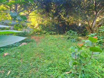 Finca Venta en Minca, 1 hectárea con Riachuelo, Sobre la Vía - Santa Marta