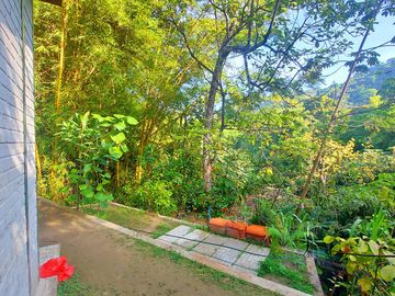 Finca Venta en Minca, 1 hectárea con Riachuelo, Sobre la Vía - Santa Marta