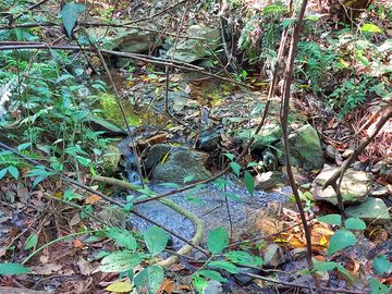 Finca Venta en Minca, 1 hectárea con Riachuelo, Sobre la Vía - Santa Marta