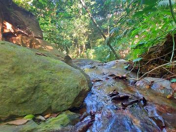 Finca Venta en Minca, 1 hectárea con Riachuelo, Sobre la Vía - Santa Marta