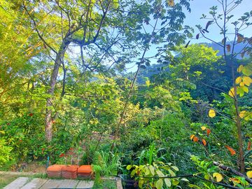 Finca Venta en Minca, 1 hectárea con Riachuelo, Sobre la Vía - Santa Marta