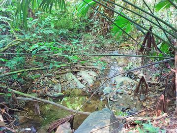 Finca Venta en Minca, 1 hectárea con Riachuelo, Sobre la Vía - Santa Marta