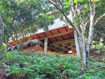Finca Venta en Minca, 1 hectárea con Riachuelo, Sobre la Vía - Santa Marta