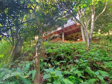 Finca Venta en Minca, 1 hectárea con Riachuelo, Sobre la Vía - Santa Marta